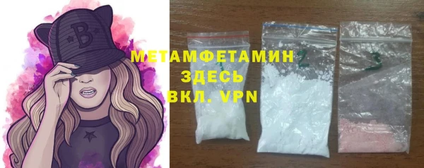 шишки Магас