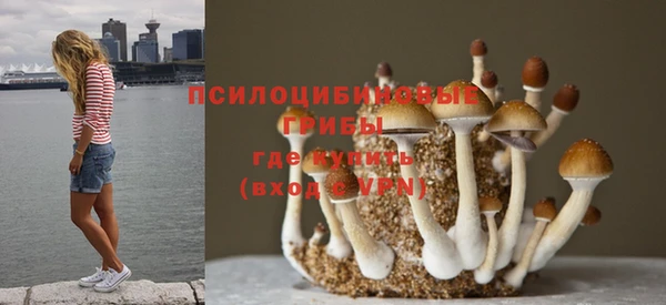 марихуана Медногорск
