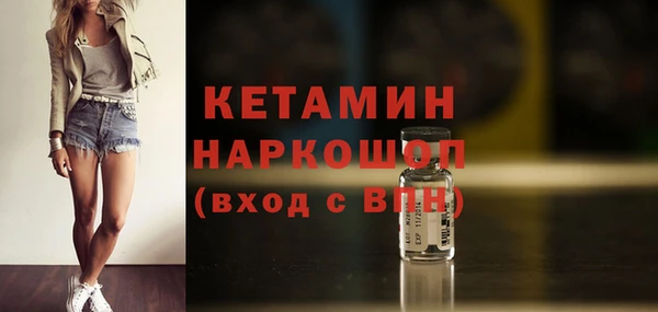 шишки Магас