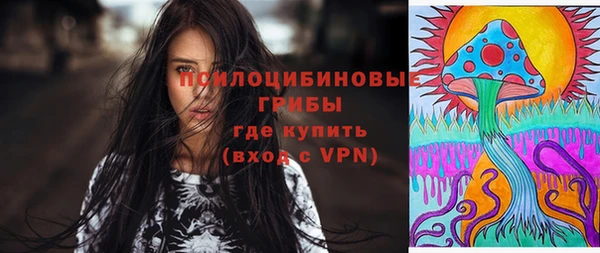 шишки Магас