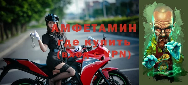 шишки Магас
